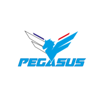 logo Pegasus Racing